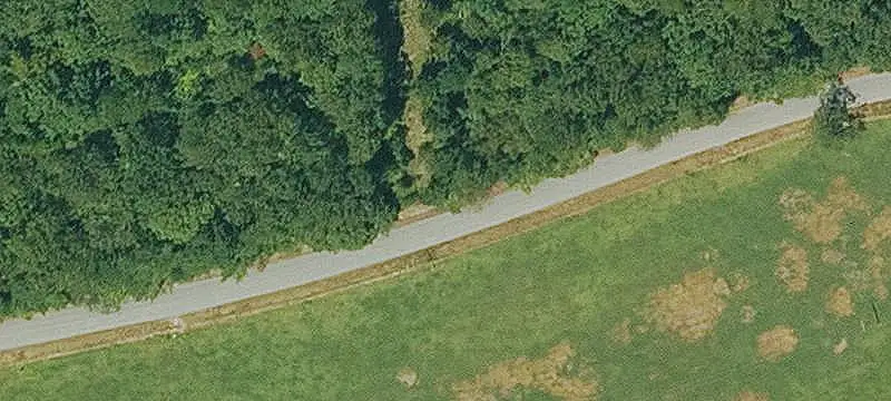 Wooded Acreage with Electric Service