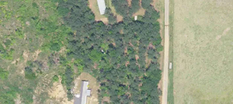 Partially Cleared Land