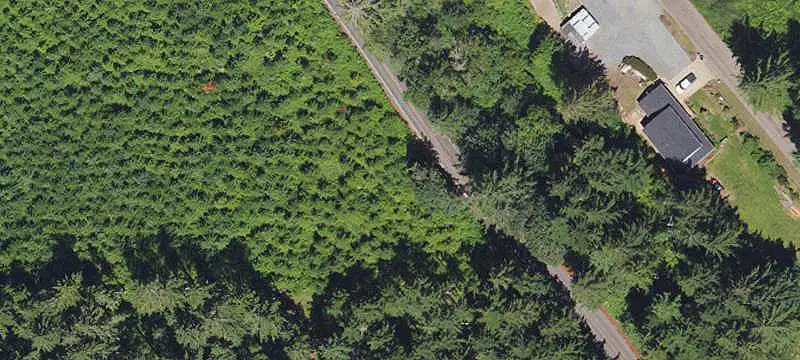 Replanted Rural Land