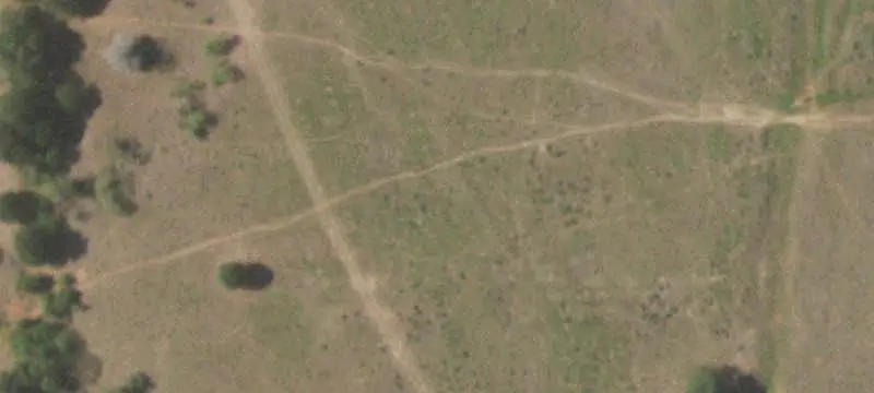 Cattle Ranch with Hay Pastures