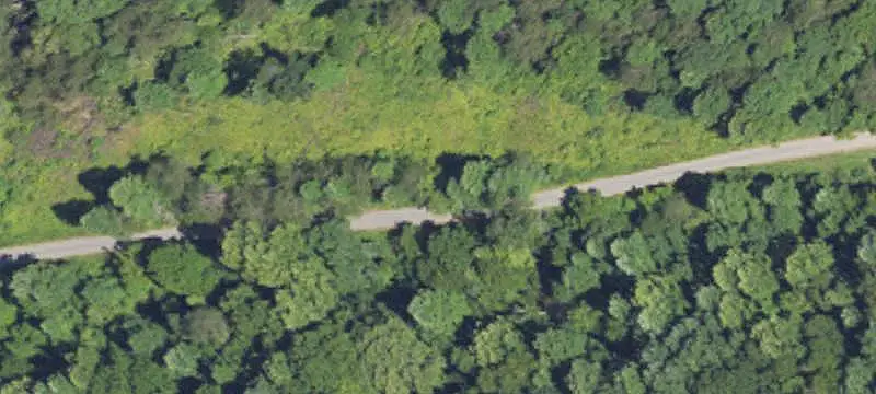 Land with Cemetery Easement