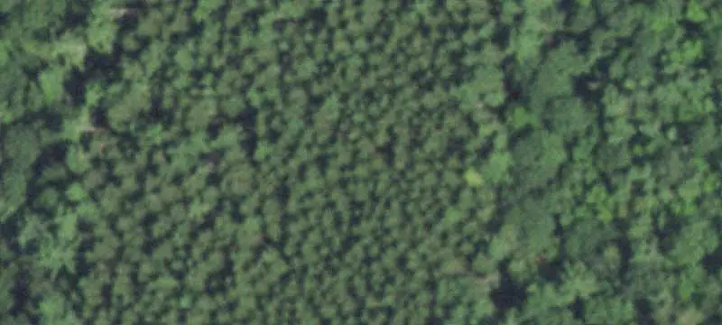Land/Lot