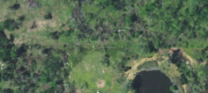 Wooded Commercial Land