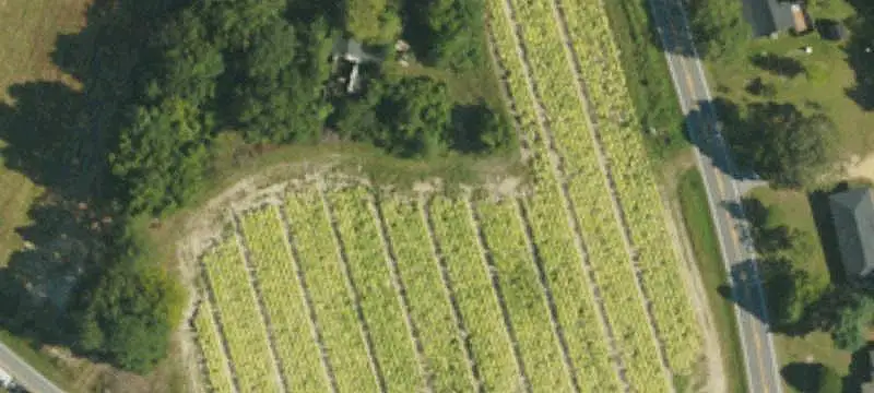 Land