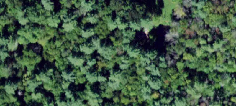 Land or Vacant Lot