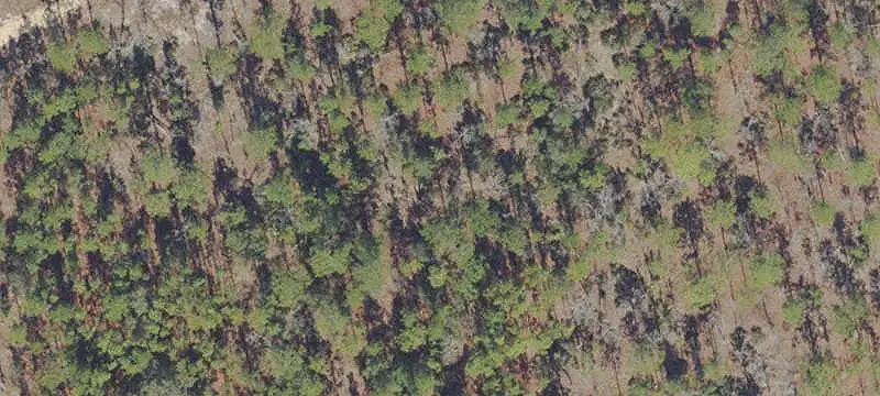 Land