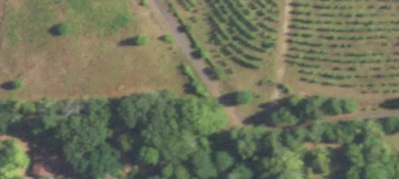 Woodland Farm with Lake Frontage