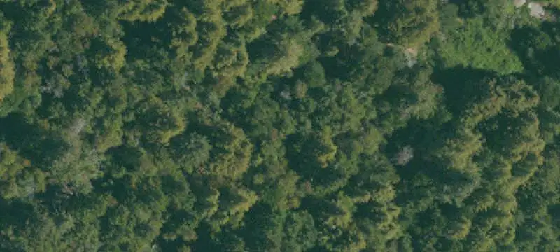 Wooded Acreage with Garden
