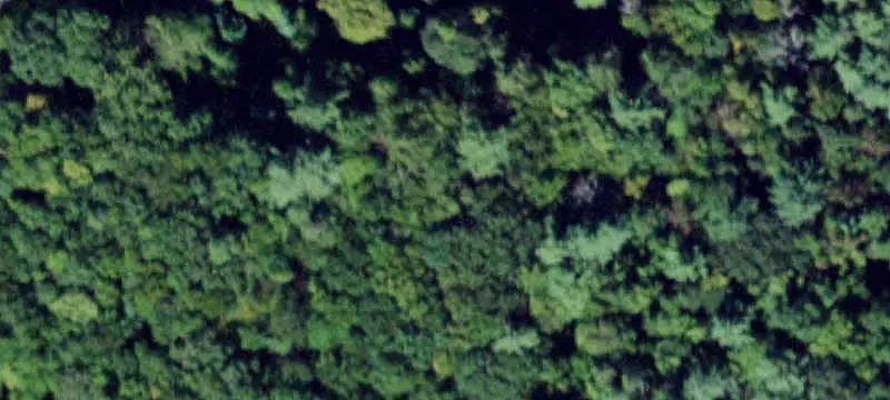 Land or Vacant Lot