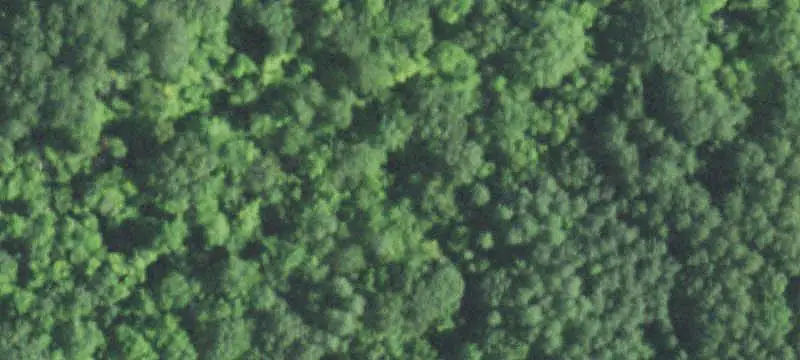 Agricultural Land