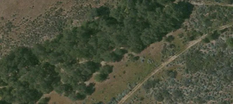 Mountain-View Land