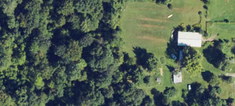 Partially Wooded Land