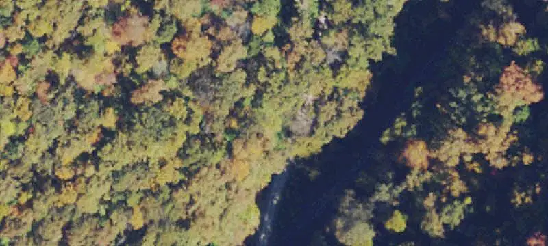 Wooded Hunting Land