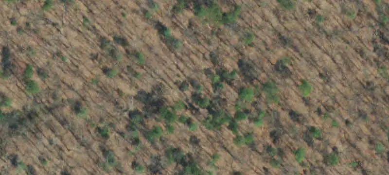 Lots & Acreage