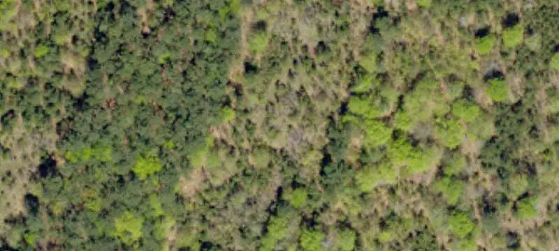 Hunting Land with Cabin