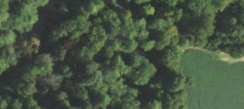 Hunting Land with Creek Frontage