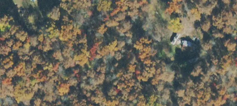 Wooded Land