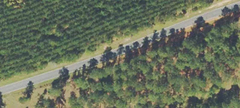 Recreational Land with Stocked Pond