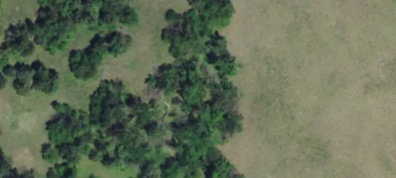 Agricultural Land with Road Frontage