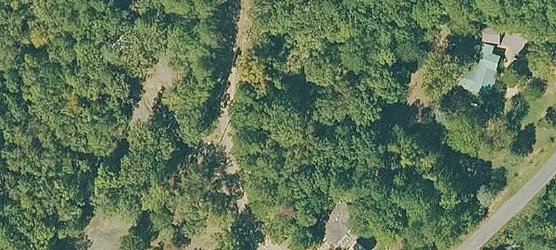 Wooded Commercial Land