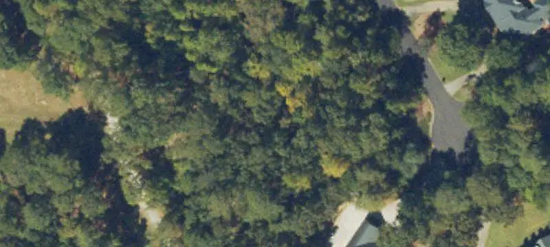 Land or Vacant Lot
