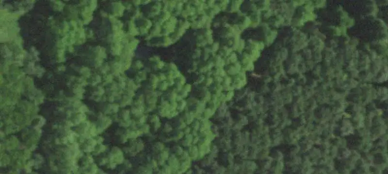Agricultural Land with Shed