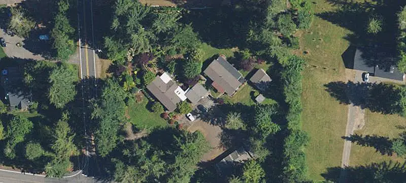 Forested Land with Road Frontage