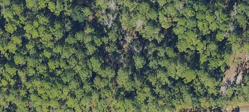 Land / Vacant Land