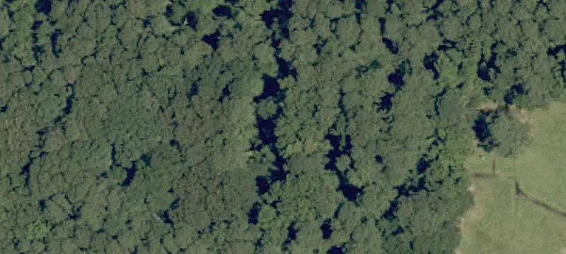 Wooded Commercial Land