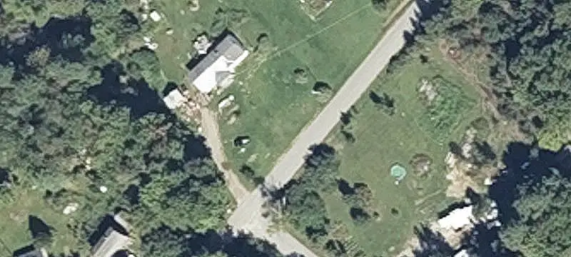 Farmland with Blueberry Fields