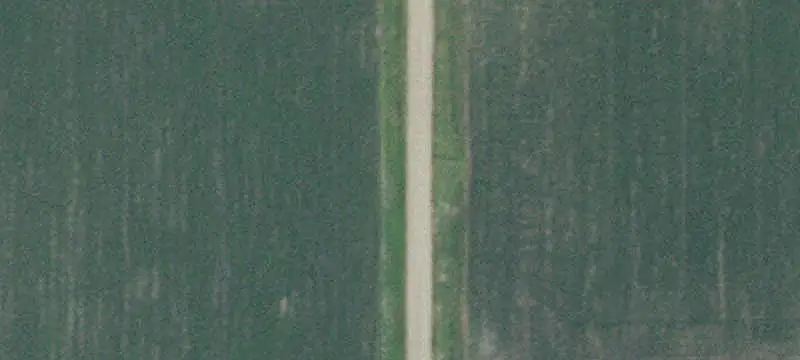Row Crop Farm
