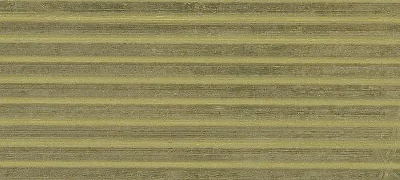 Agricultural Land with Pasture