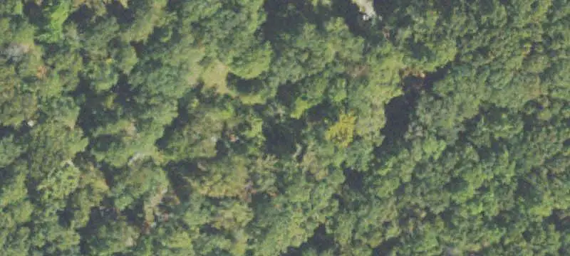 Land/Lot