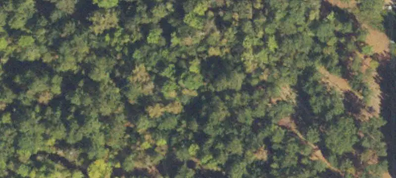 Land/Lot