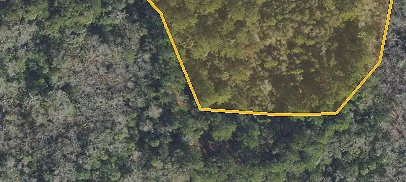 Wooded Commercial Land