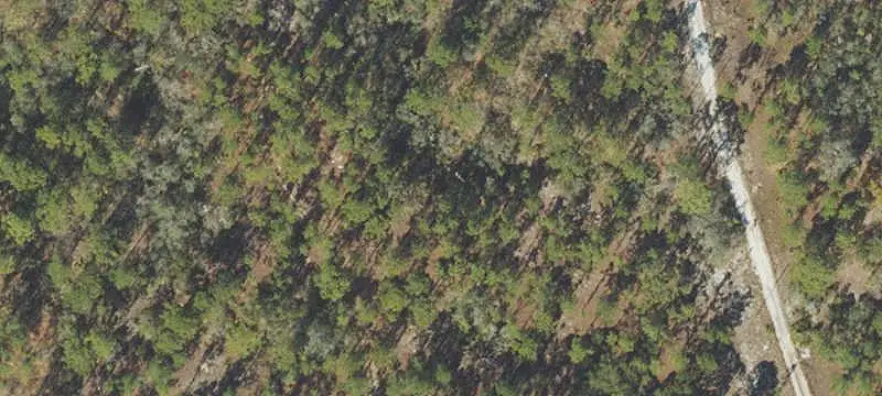 Land or Vacant Lot