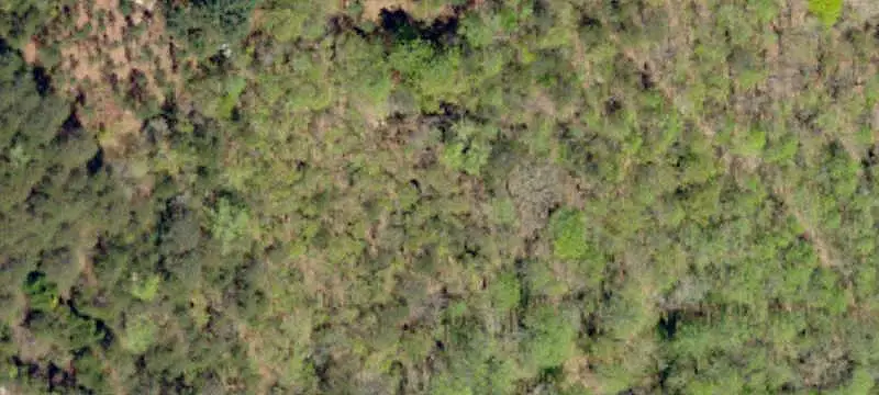 Vacant Land