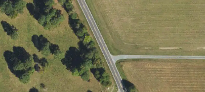 Pecan and Walnut Grove Farmland