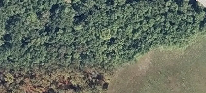 Hunting Land with Off-Grid Cabin