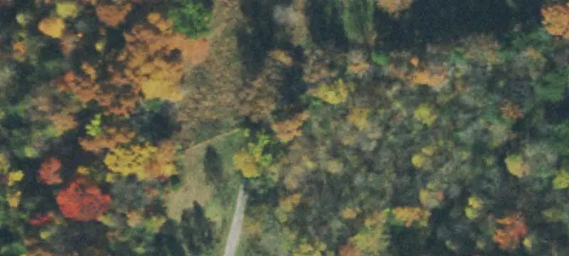 Wooded Hunting Land