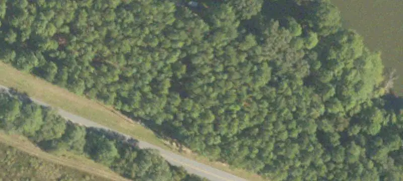 Land/Lot