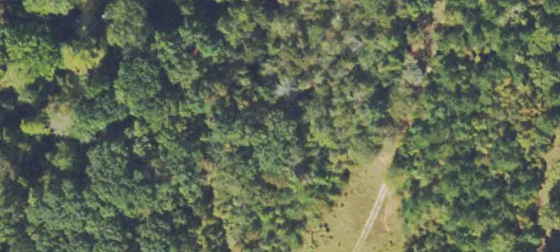 Land/Lot