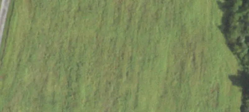 Agricultural Land with Residence