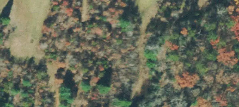 Wooded Unrestricted Land