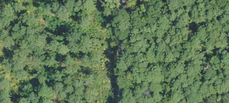 Commercial Land