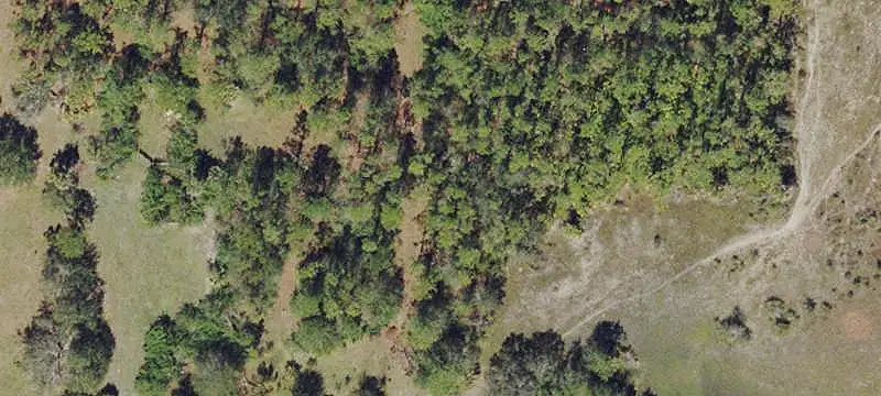 Wooded Hunting Land