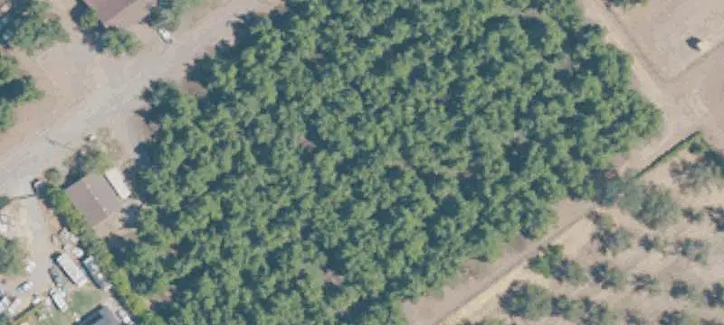 Walnut Farm with Equipment Shop
