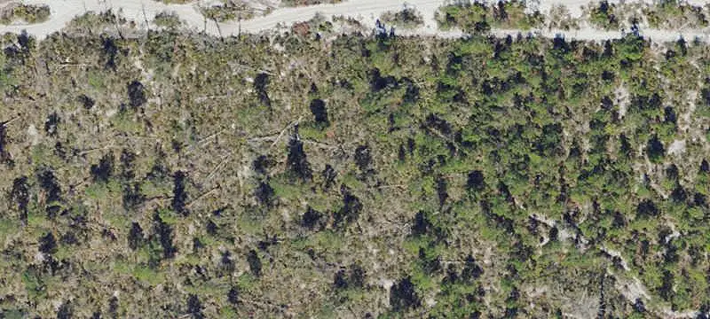 Unimproved Land