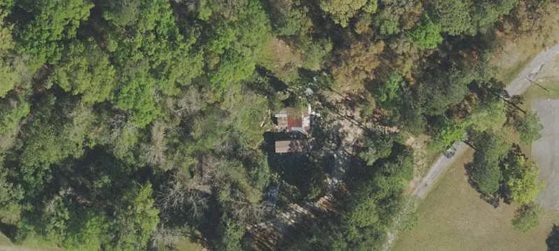 Mature Timber Hunting Land