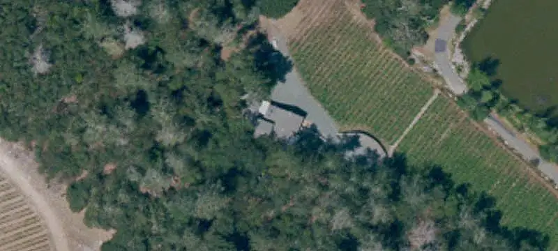 Vineyard Property